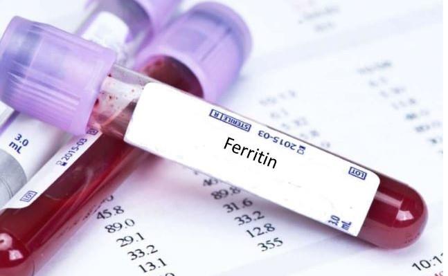 Φερριτίνη – Τιμές αναφοράς: Τι δείχνουν τα αυξημένα ή μειωμένα επίπεδα στο αίμα